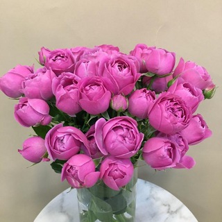 Логотип @flowerspion - Цветы в Геленджике