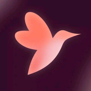 Логотип @flowwow_courier - Flowwow курьеры✌️