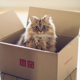 Логотип @fluffybox - Пушистая коробка