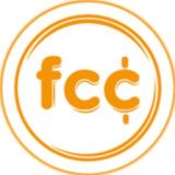 Логотип @flycare - flycare