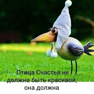 Логотип @flyfeels - Птица счастья 🕊. Психология, цитаты, афоризмы