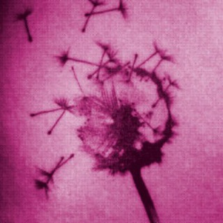 Логотип @flying_high - Flying High - Demokanal und Subkultur Bonn