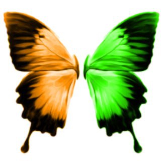 Логотип @flylinkdc_team - FlylinkDC++
