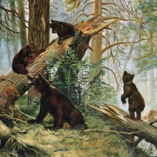 Логотип @flywood_facts - 👁‍🗨 Свидетель