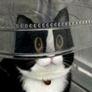 Логотип @fmemestg - котівня 🐱