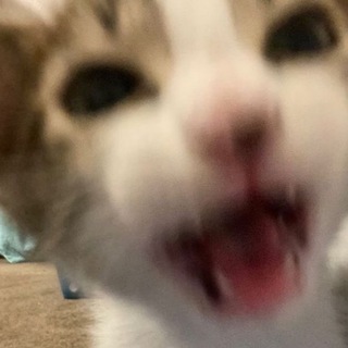 Логотип @fnfdm - llways