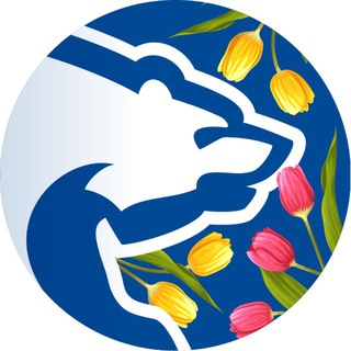 Логотип @fokinoer - ЕДИНАЯ РОССИЯ ФОКИНО🇷🇺