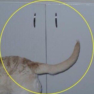 Логотип @folga9 - megas