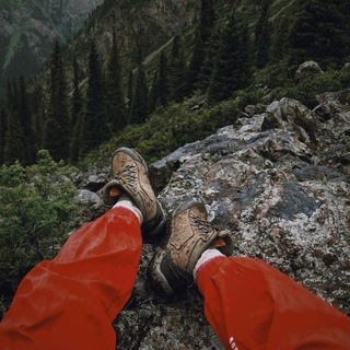Логотип @folkindiemusicrock - Горная волчица 🐺 MUSIC | Indie | Rock | Folk | Pop | Chill