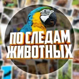 Логотип @following_the_animals - По Следам Животных