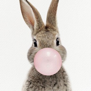 Логотип @followwhitebunnychat - Следуй За Белым Кроликом Chat