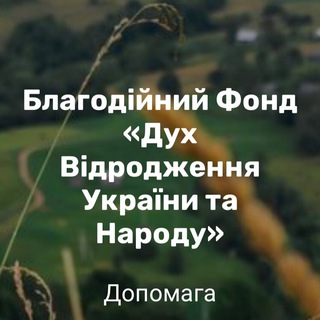 Логотип @fonddvun - Благодійний фонд - ДВУН