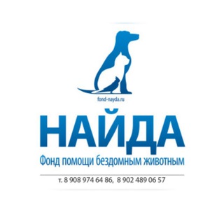 Логотип @fondnaydavl - Фонд Найда Владивосток