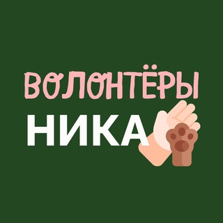 Логотип @fondnikavol - Волонтёры, Фонд «НИКА»