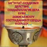 Логотип @fondzula - ЭКОАКТИВИСТ СИБИРСКАЯ