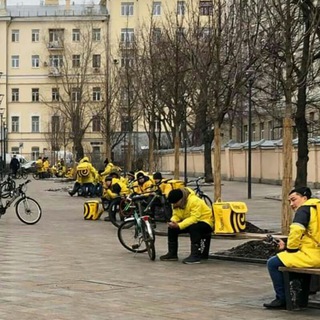 Логотип @fooddozor - Курьерский дозор
