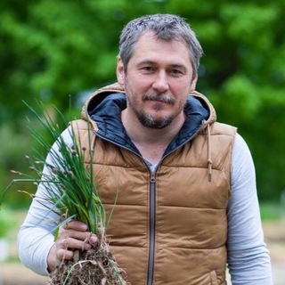 Логотип @foodforestchat - Чат Живые системы (проектирование биоценозов)