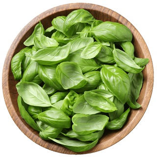 Логотип @foodseeds - FoodSeeds-доставка съедобных цветов, микрозелени и салатов