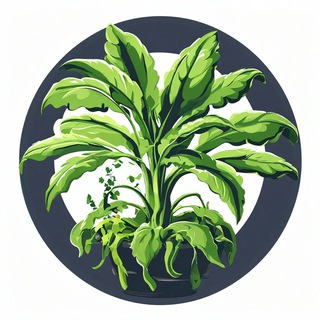 Логотип @foodseedschat - FoodSeeds Чат | отчеты по выращиванию