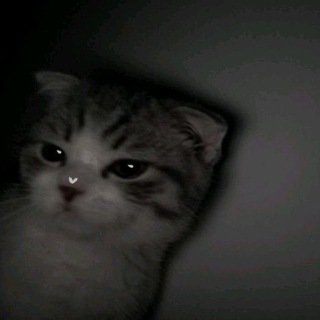 Логотип @for_all_chattt - ᴄhᴀᴛ
