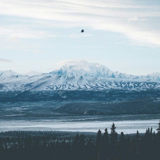 Логотип @for_thesoul - °• for the soul