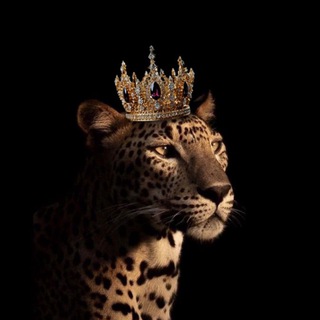 Логотип @for_youonly - VICTORY