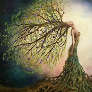 Логотип @force_rod - Сила Рода 🌳Ресурсы Рода🌳