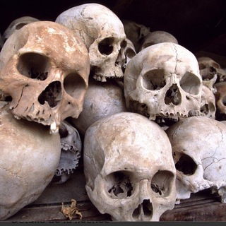 Логотип @forensicanthropologytransgenders - Forensic Anthropology / Bones / Trannies / Tranvestigation / Worldwide Deception