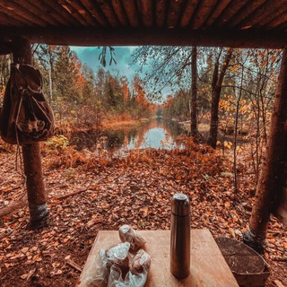 Логотип @forest_farm_rus - 🌳🆉🅰🅸🅼🅺🅰-🆂🅰🆃🅲🅾🅼🌳