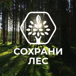 Логотип @forest_save - Сохрани лес | Лига Заботы