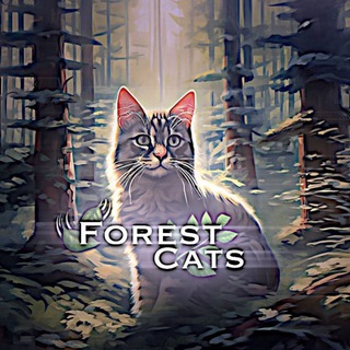 Логотип @forestcat_0 - ˖_꒰ 𝗙𝗢𝗥𝗘𝗦𝗧 𝗖𝗔𝗧𝗦 🫂