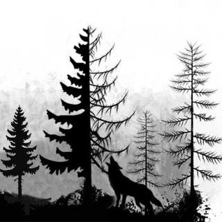 Логотип @forestcleanru - Проект «Чистый лес»