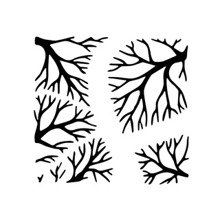 Логотип @forestforum - Forestforum - лесной канал