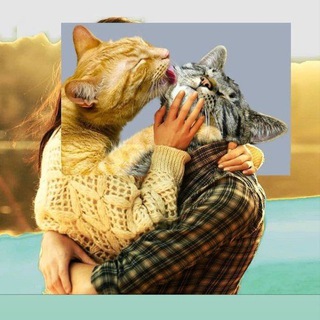 Логотип @forever_sad_bitch - ANEBCA¿