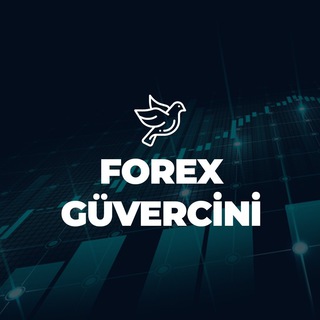 Логотип @forexguvercini - FOREXGÜVERCİNİ