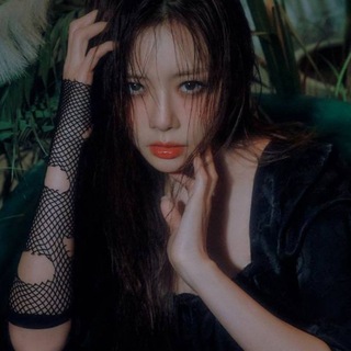 Логотип @forget090 - knight of dreamcatcher