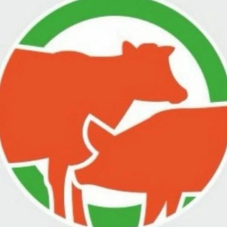 Логотип @formulameat - ФОРМУЛА МЯСА 🐖🐄