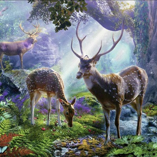 Логотип @forpeaceandfreedom - 🌳Unsere Heimath-Irtha🦌