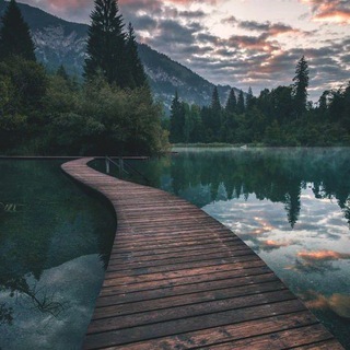 Логотип @forstories_chat - 𝑭𝑶𝑹 𝑺𝑻𝑶𝑹𝑰𝑬𝑺 Chat