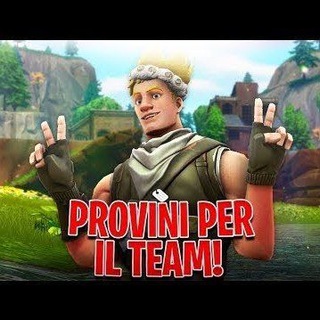 Логотип @fortniteprovini - Fortnite Provini