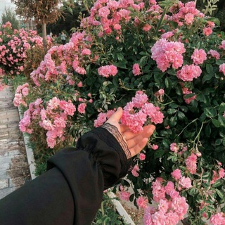 Логотип @fosh_ka_0 - 𝒫ℯ𝓇𝓈ℴ𝓃𝒶𝓁 𝒹𝒾𝒶𝓇𝓎..♡︎