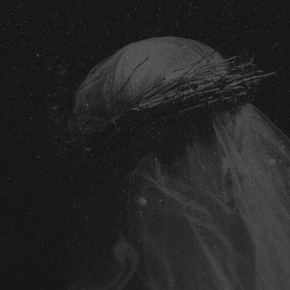 Логотип @fosh_ka_005 - ʙᴇᴀᴜᴛɪꜰᴜʟ sᴏᴜʟ