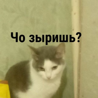 Логотип @foshikolife - ͟͟͞͞➳ 𝘍𝘰𝘴𝘩𝘪𝘬𝘰. 𝘊𝘩𝘢𝘯𝘯𝘦𝘭 𝘸𝘪𝘵𝘩 𝘭𝘪𝘧𝘦.. ˗ˏˋ 🔪 ˎˊ˗