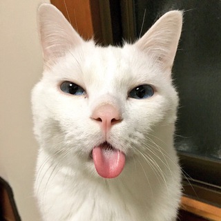 Логотип @fotboxxd - bryl1kbaby