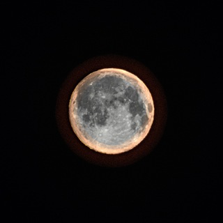 Логотип @foto_ergo - Фото -Эрго