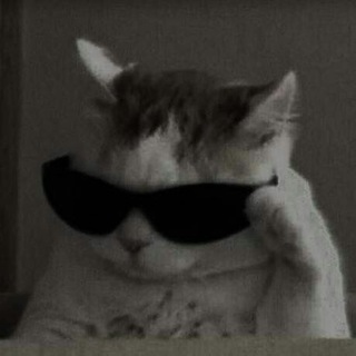 Логотип @foto_na_avu8 - Фото на аву