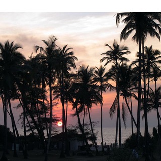 Логотип @foto_turist - Фотобродяга