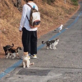 Логотип @fotobatl1243 - единобожие | توحيد