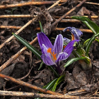 Логотип @fotoclubwithlove - _PHOTOCLUB_