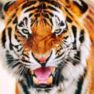 Логотип @fotod - Мужской Журнал